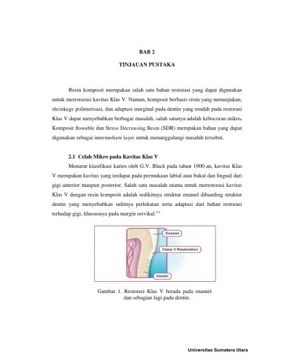 Pengaruh Preparasi Bevel Pada Restorasi Klas I Resin Komposit Berbasis  Silorane Terhadap Celah Mikro (Penelitian In Vitro)