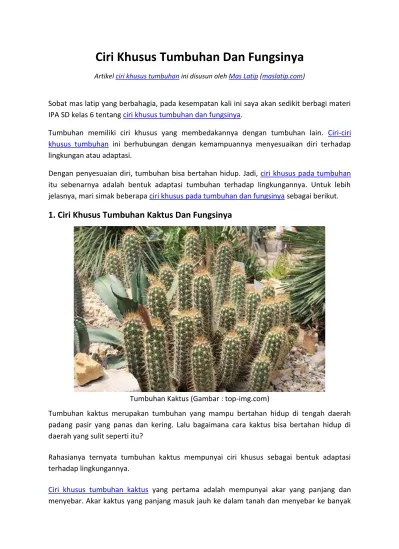 Ciri Khusus Tumbuhan Dan Fungsinya