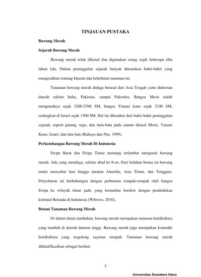 Bahasa Inggris : (Drama Script) Bawang Putih and Bawang Merah