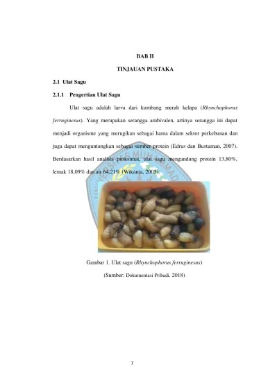 BAB II TINJAUAN PUSTAKA 2.1 Ulat Sagu 2.1.1 Pengertian Ulat Sagu - 11 BAB  II fix