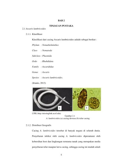 HUBUNGAN ANTARA PERSONAL HYGIENE DENGAN KEJADIANINFEKSI Ascaris lumbricoides  PADA ANAK SD BAHRUL MAGHFIROH MALANG