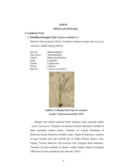 As of today we have 79,707,496 ebooks for you to download for free. Top Pdf Potensi Ekstrak Daun Bambu Apus Gigantochloa Apus Kurz Sebagai Bioherbisida Terhadap Perkecambahan Dan Pertumbuhan Cyperus Iria L Dan Amaranthus Spinosus L 123dok Com