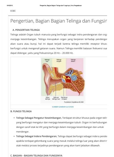Pengertian, Bagian Bagian Telinga Dan Fungsinya _ Ilmu Pengetahuan