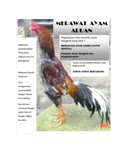 TINJAUAN PUSTAKA. Sejarah dan klasifikasi ayam menurut sejarahnya, ayam  jinak yang