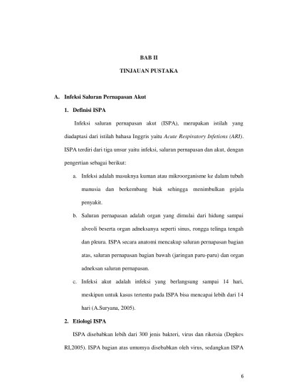BAB II TINJAUAN PUSTAKA. diadaptasi dari istilah bahasa Inggris yaitu Acute  Respiratory Infetions (ARI).