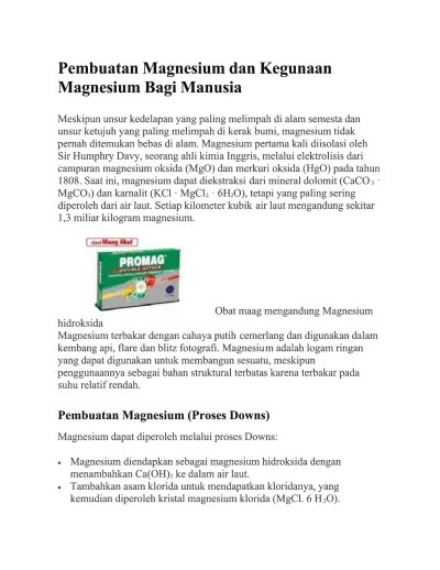 MAGNESIUM INDONESIA.docx