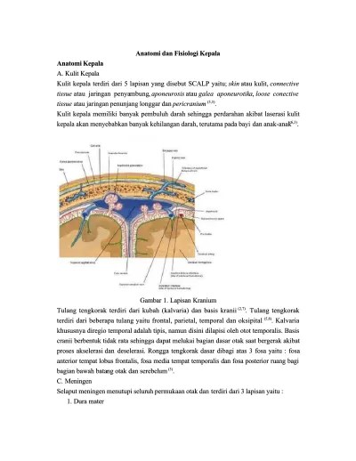 Top PDF Anatomi dan Fisiologi kulit - 123dok.com