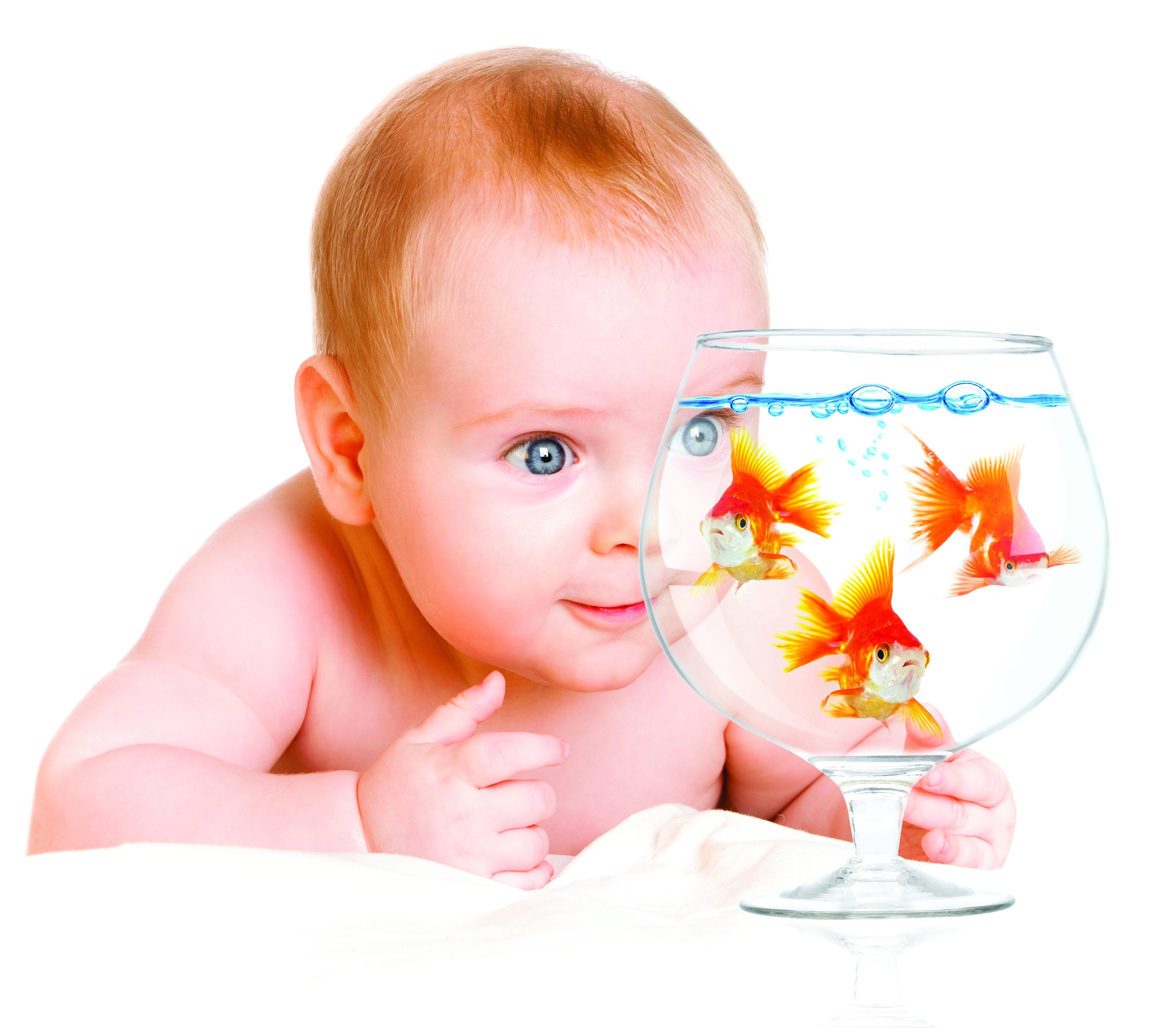 wallpaper child, aquarium, fish HD Widescreen High Definition