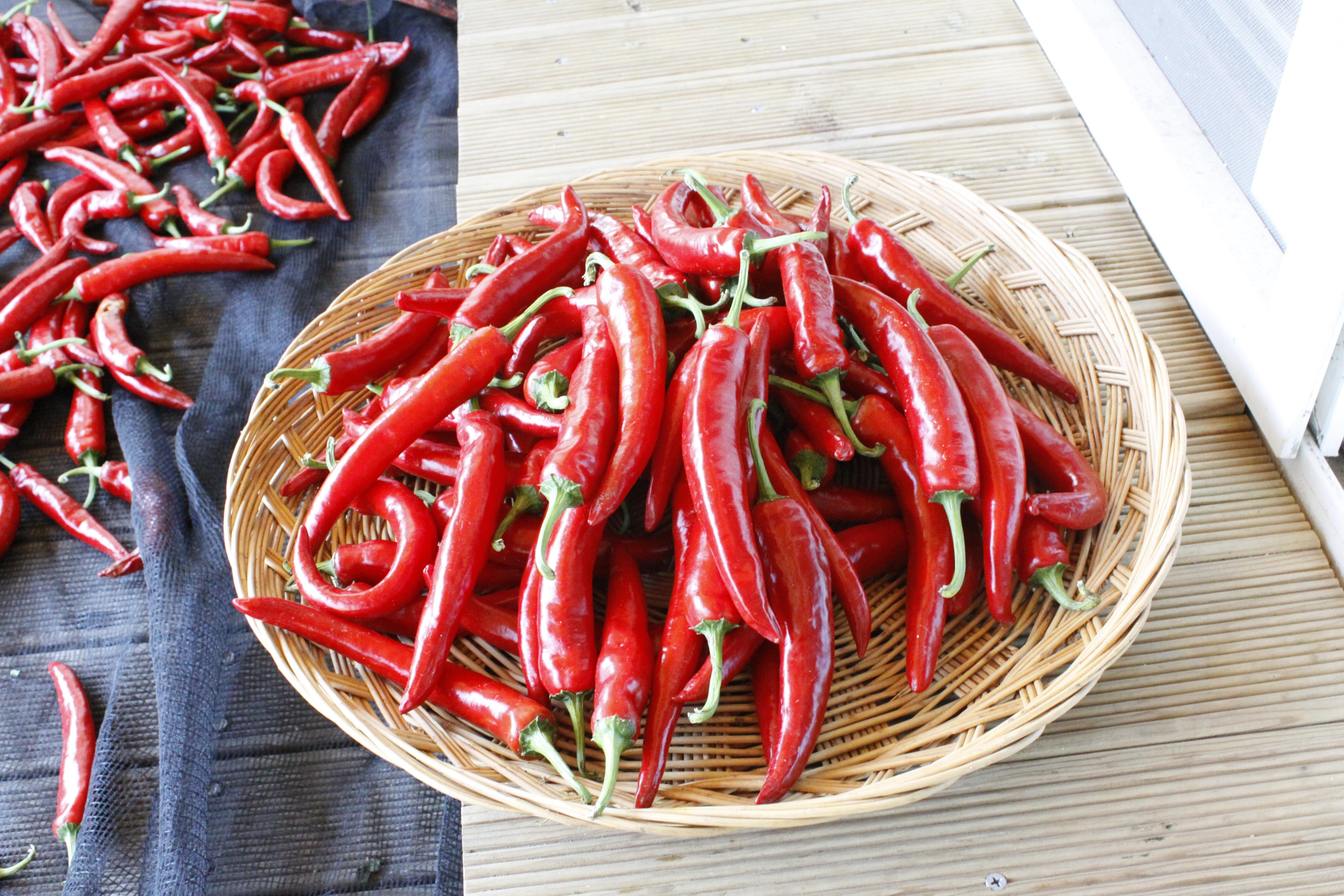 wallpaper pepper, chilli, basket HD Widescreen High Definition