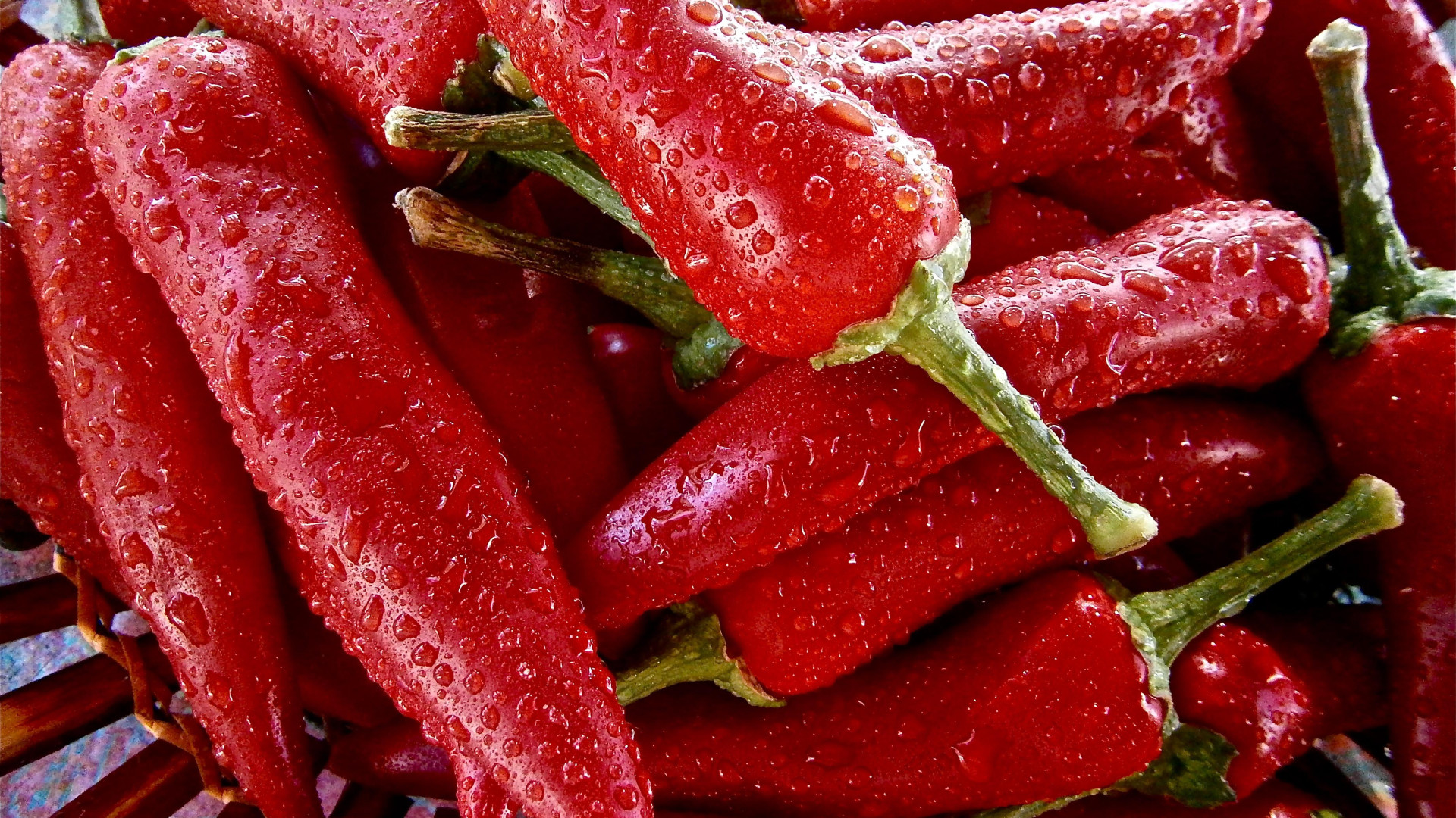 wallpaper pepper, chilli, drops HD Widescreen High Definition