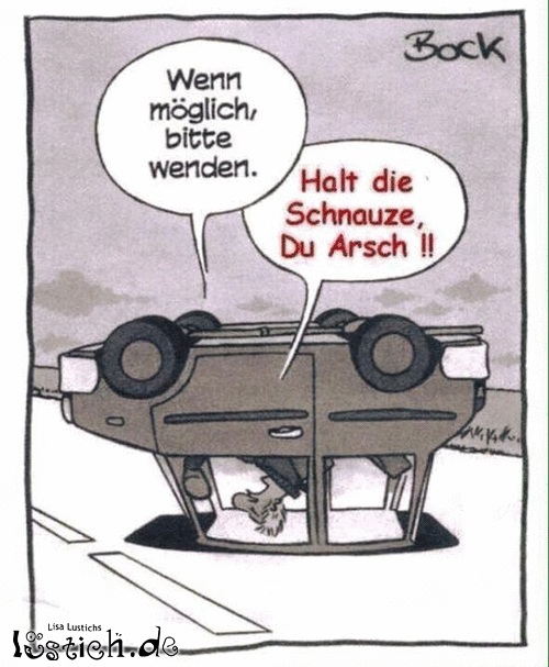 DoofesNavi Bild lustich.de