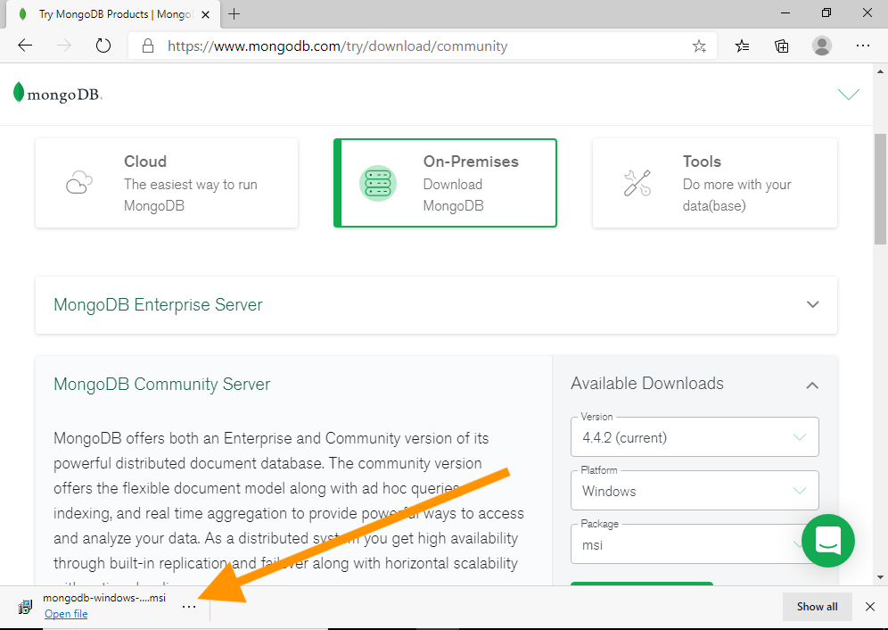 Install mongodb on windows server takeinternational