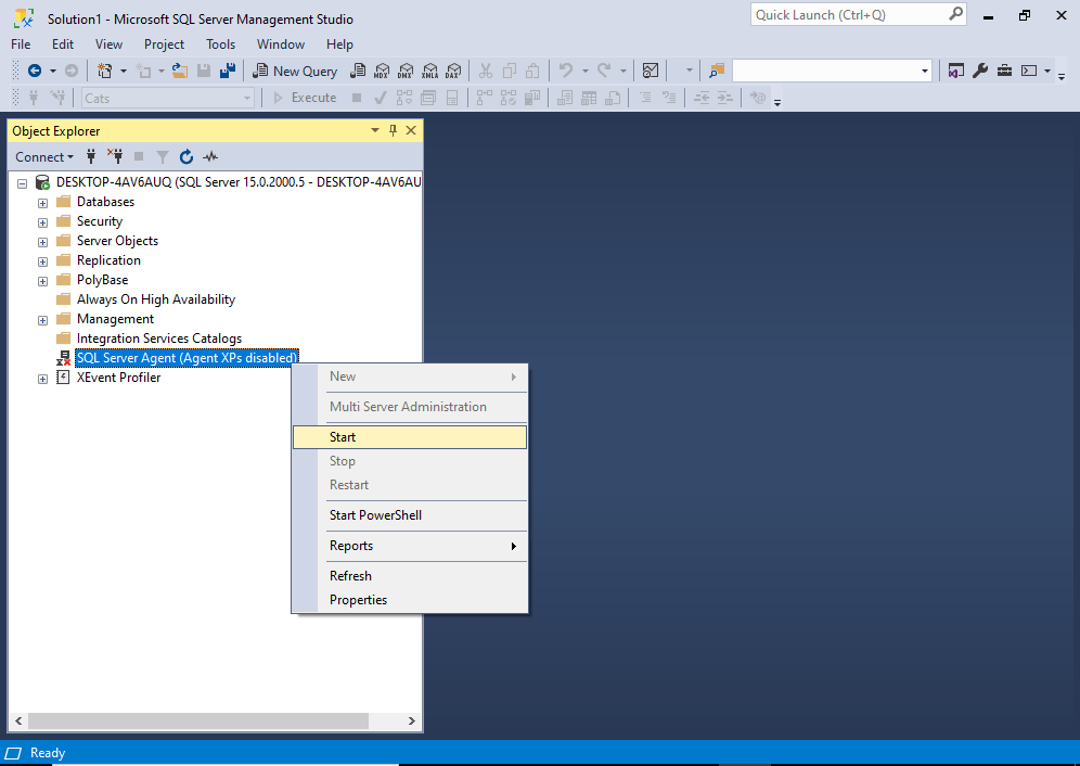 Enable SQL Server Agent via SSMS