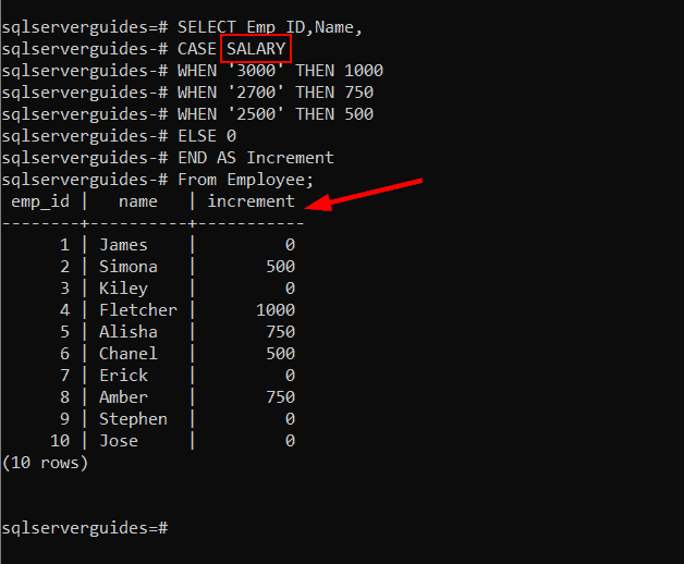 PostgreSQL CASE with Examples