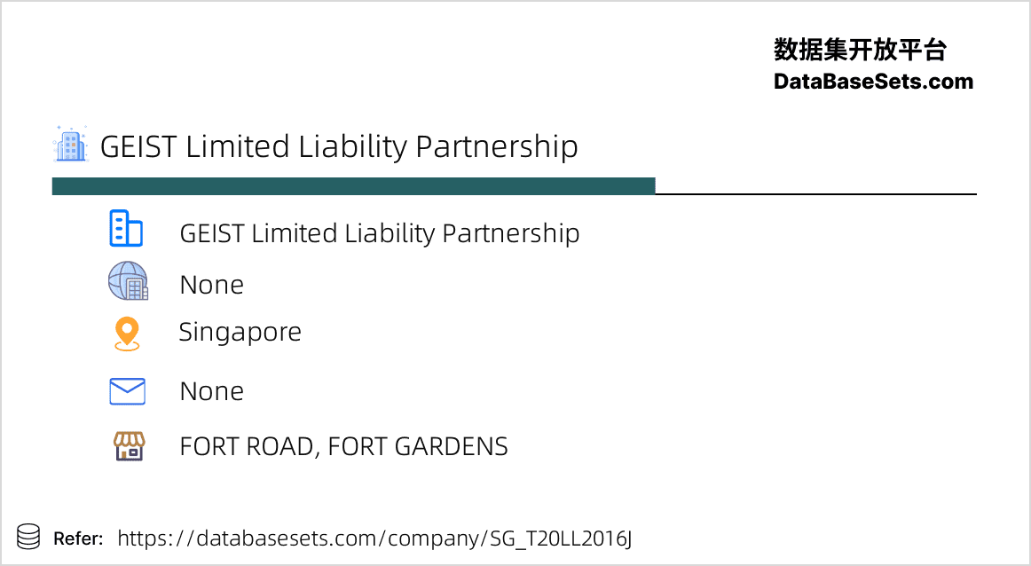 GEIST LIMITED LIABILITY PARTNERSHIP Singapore 全球公司数据集开放平台 💿