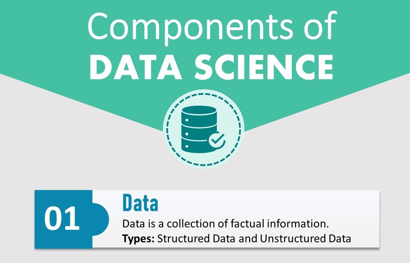 5 Basic Components of Data Science DatabaseTown