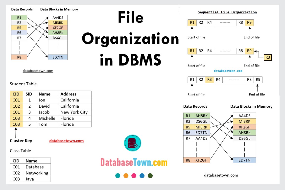 File Organization in DBMS What are the four types of file