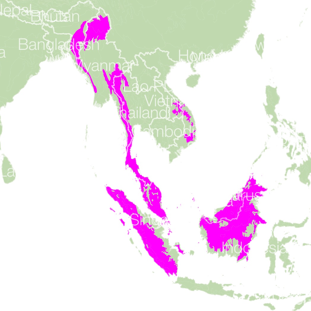 Bear Species Distribution Map