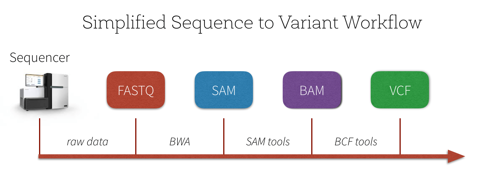 What is bam file format gaswbasics