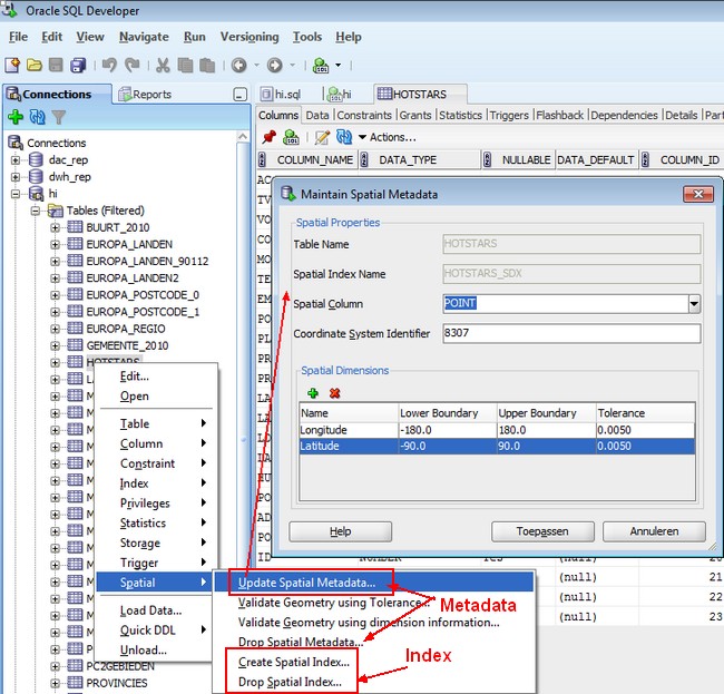 Oracle Spatial Geometry Metadata Views and Index