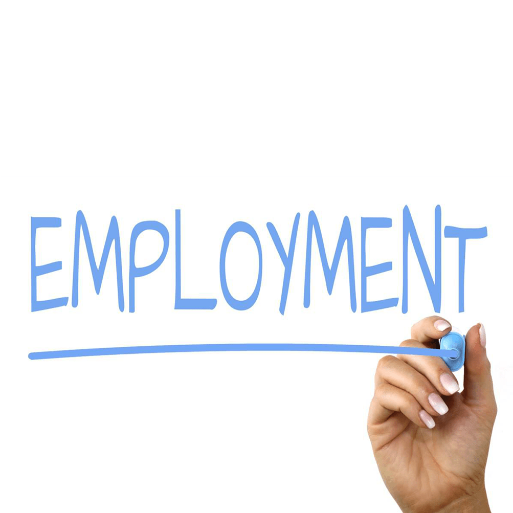 employment Data Cape Cod