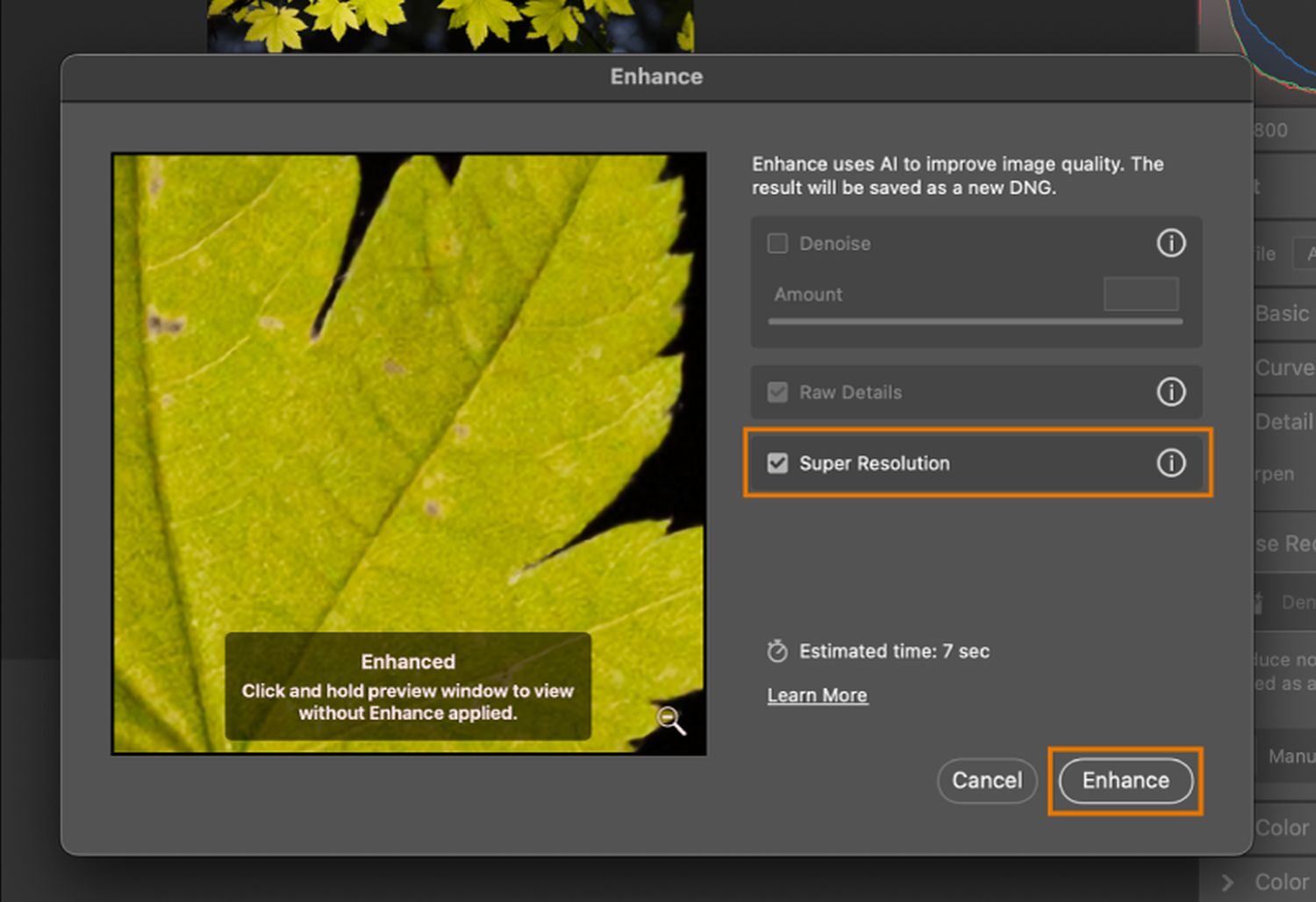 Meet The "Super Resolution AI" Feature Of And Lightroom