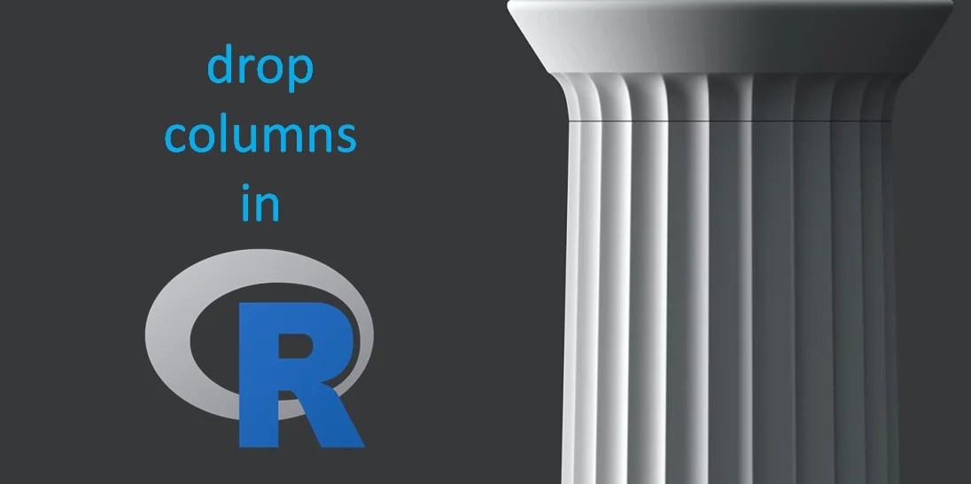 How to quickly drop columns in R in data frame Data Cornering