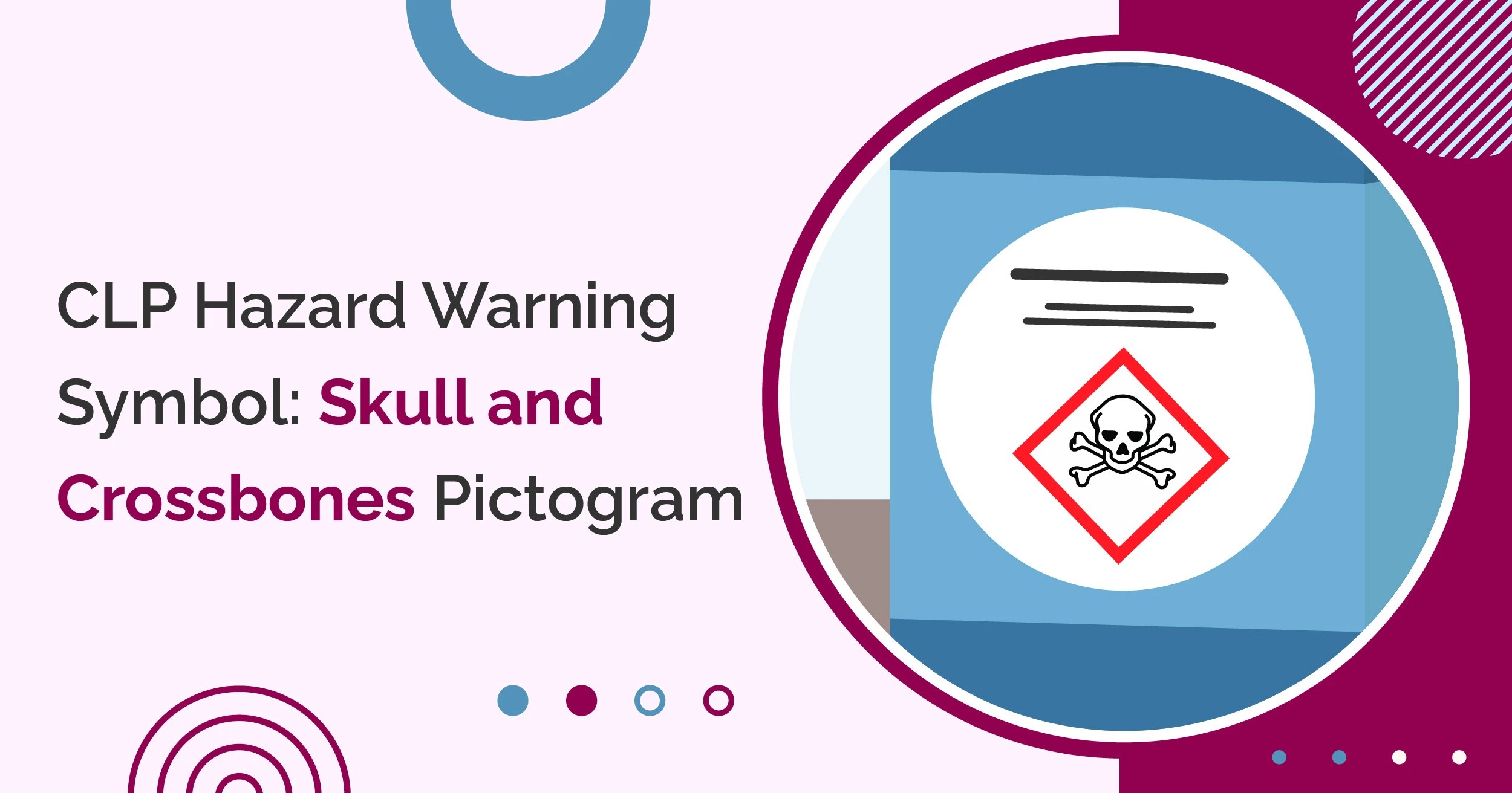 CLP Hazard Warning Symbol Skull and Crossbones Pictogram dataEssence