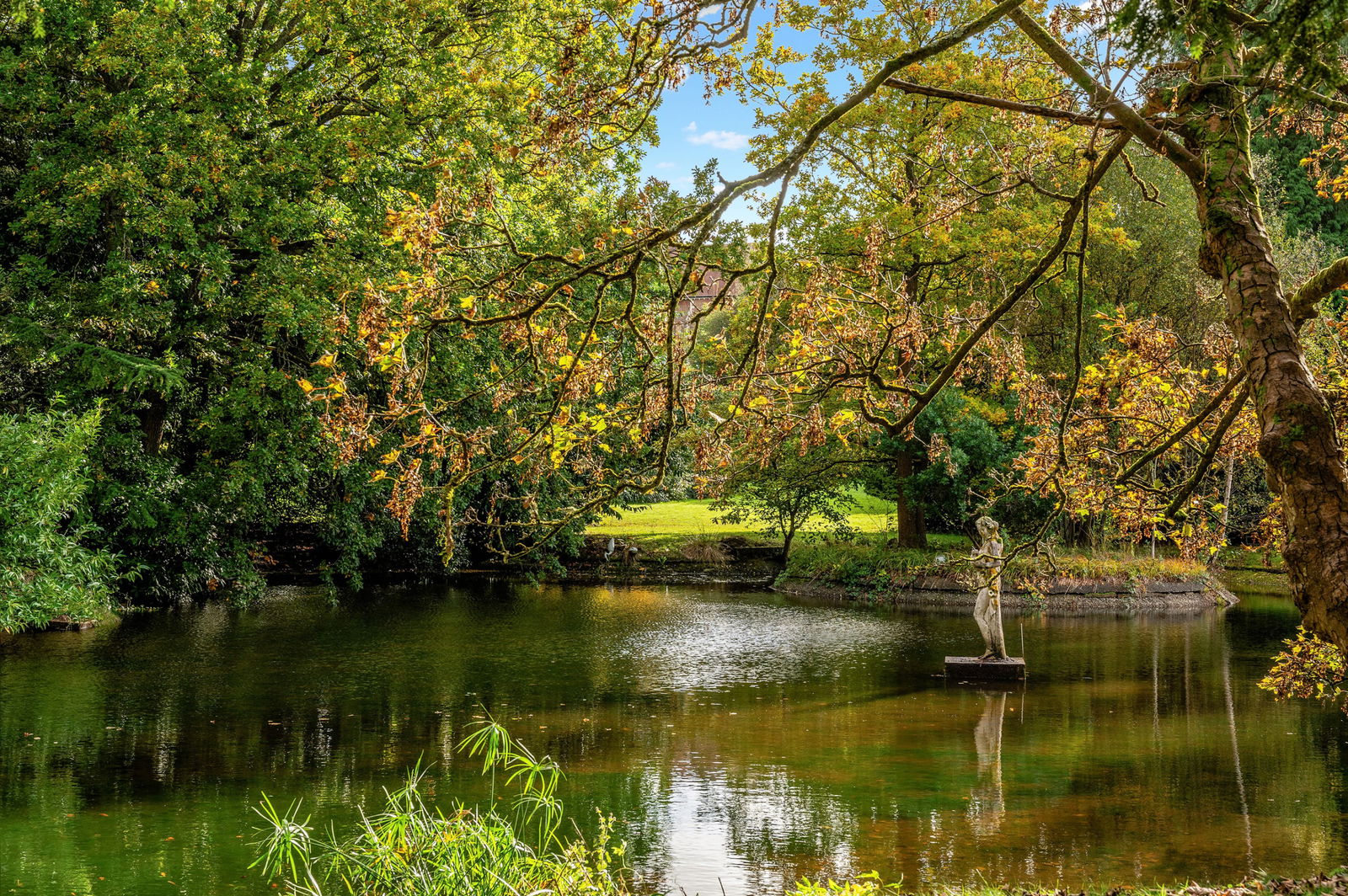 15 acres, Coopers Hill Road, Nutfield, Surrey UKLandandFarms.co.uk