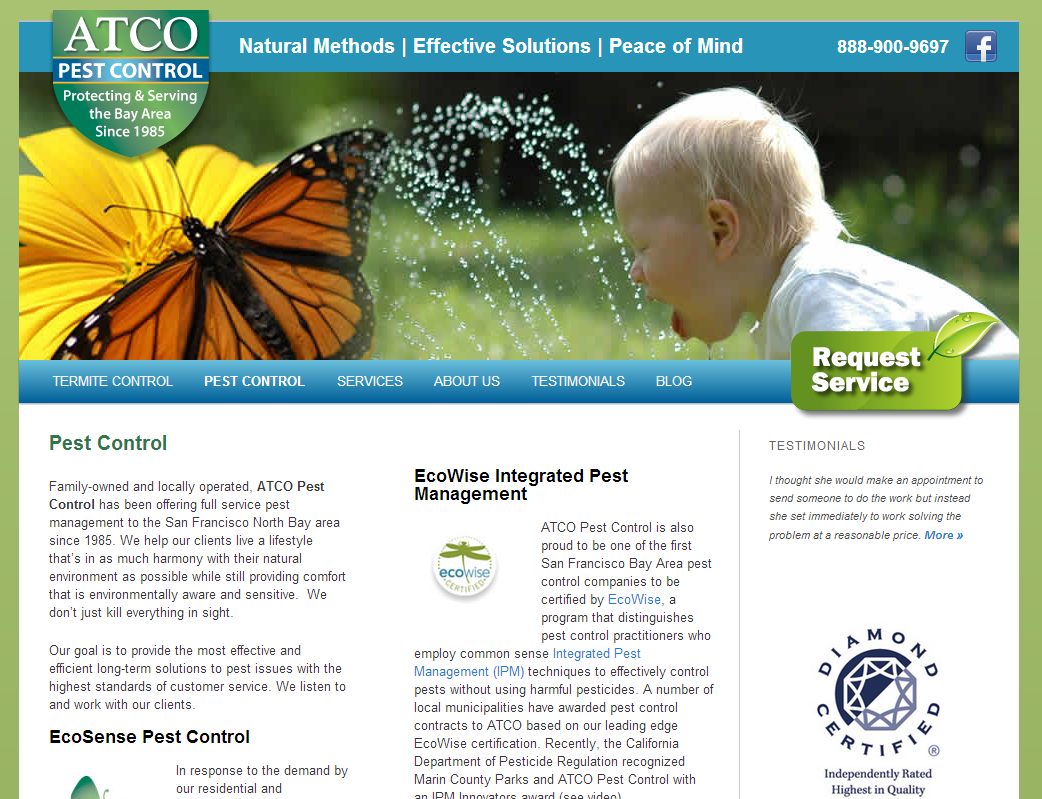 Pest Control Near Me: Eco-friendly Exterminators
