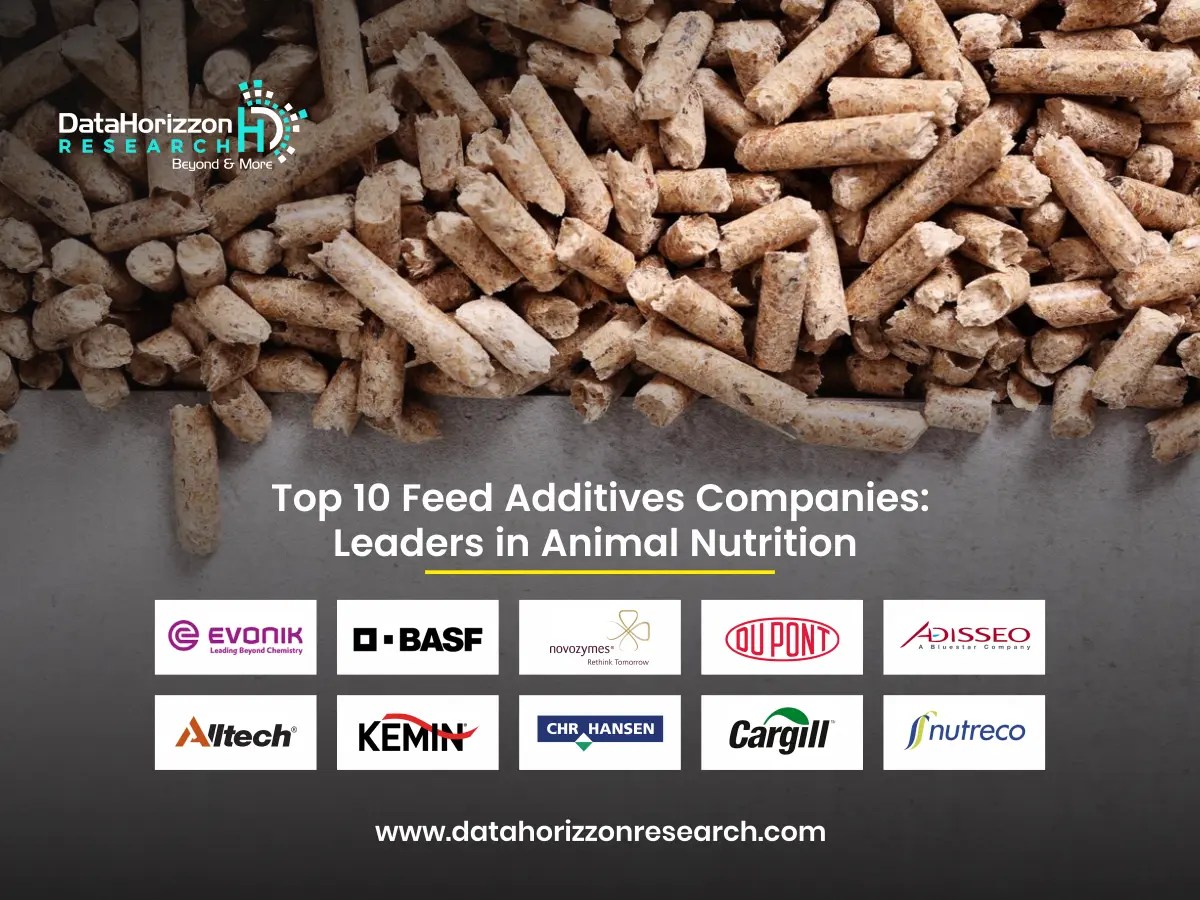 Top 10 Feed Additives Companies Leaders in Animal Nutrition