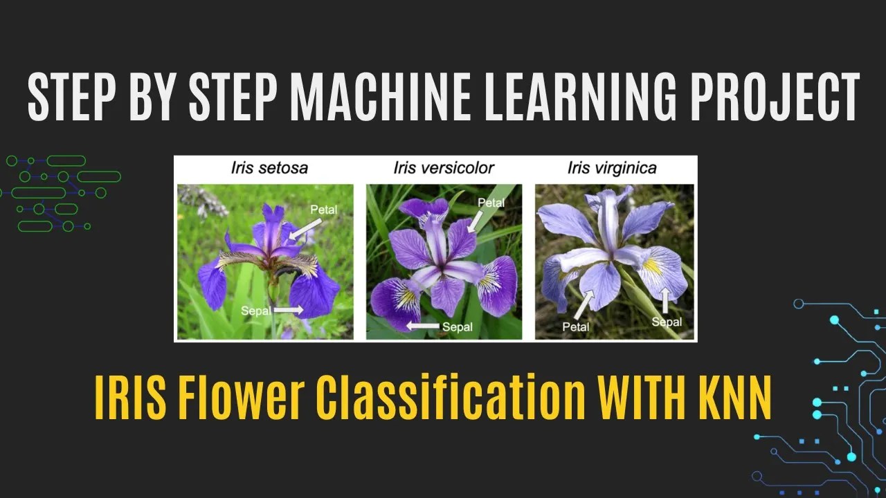 Iris flower classification with KNN Step by step ML project Data Magic AI Blog