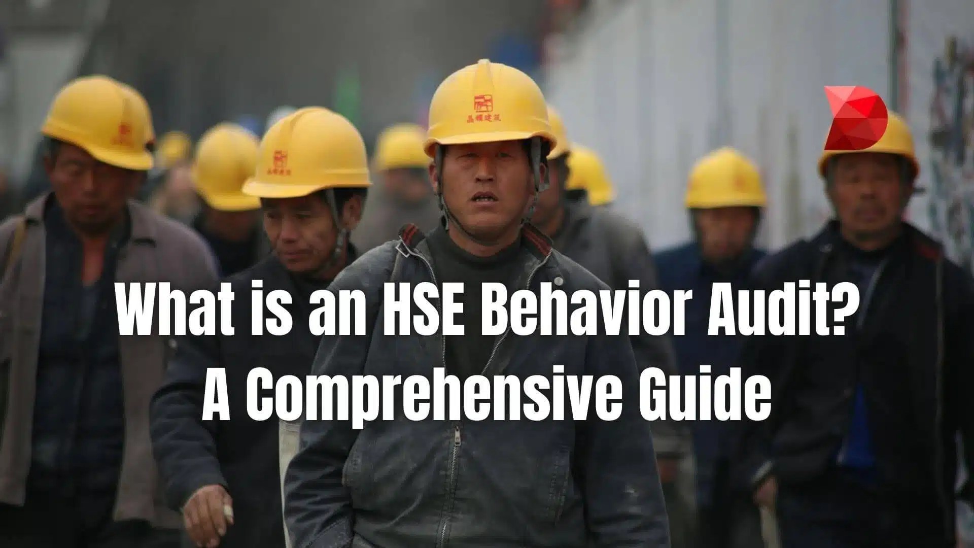 What Is An HSE Behavior Audit? A Complete Guide DataMyte