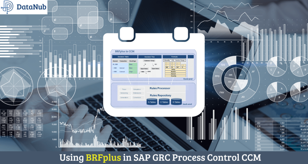 BRFplus in SAP GRC Process Control CCM DataNub Technologies
