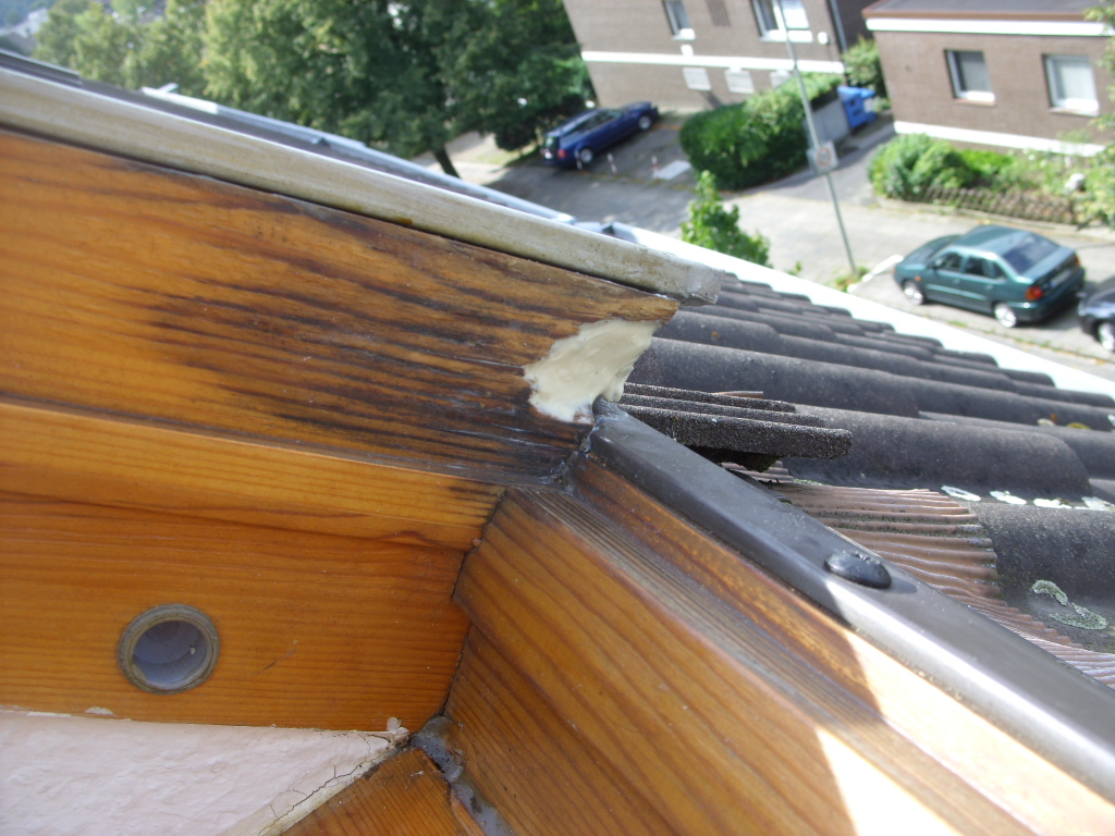 Fenster 1