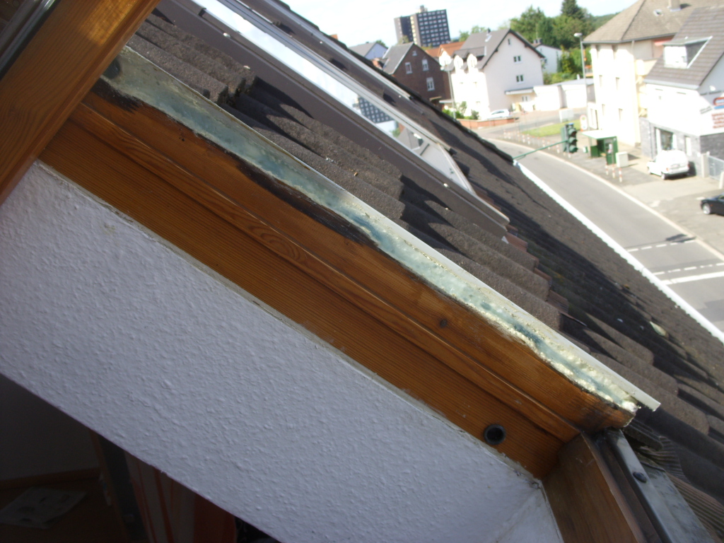 Fenster 2