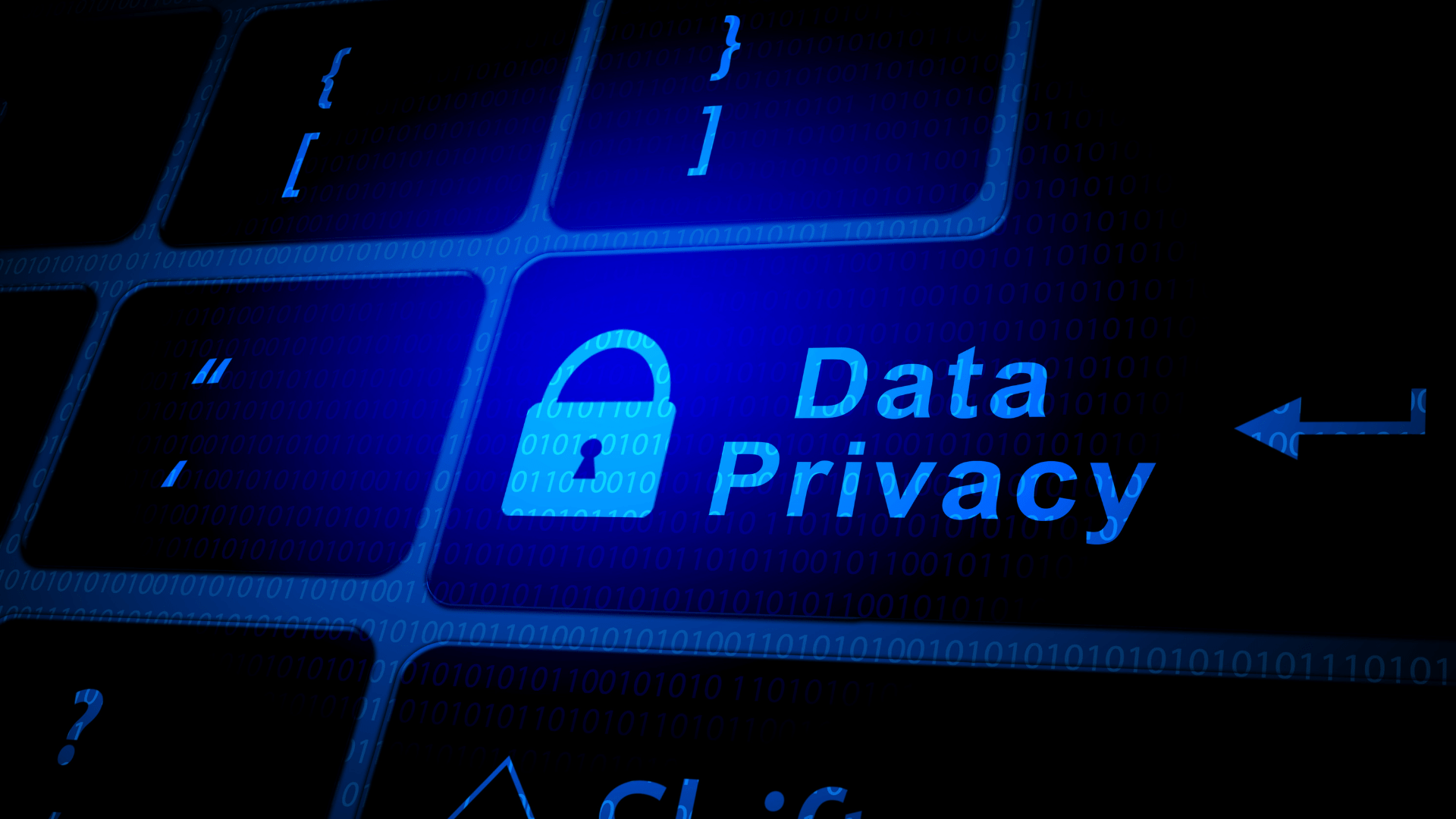 Data Privacy Services Data Privacy and Management Advisory Services