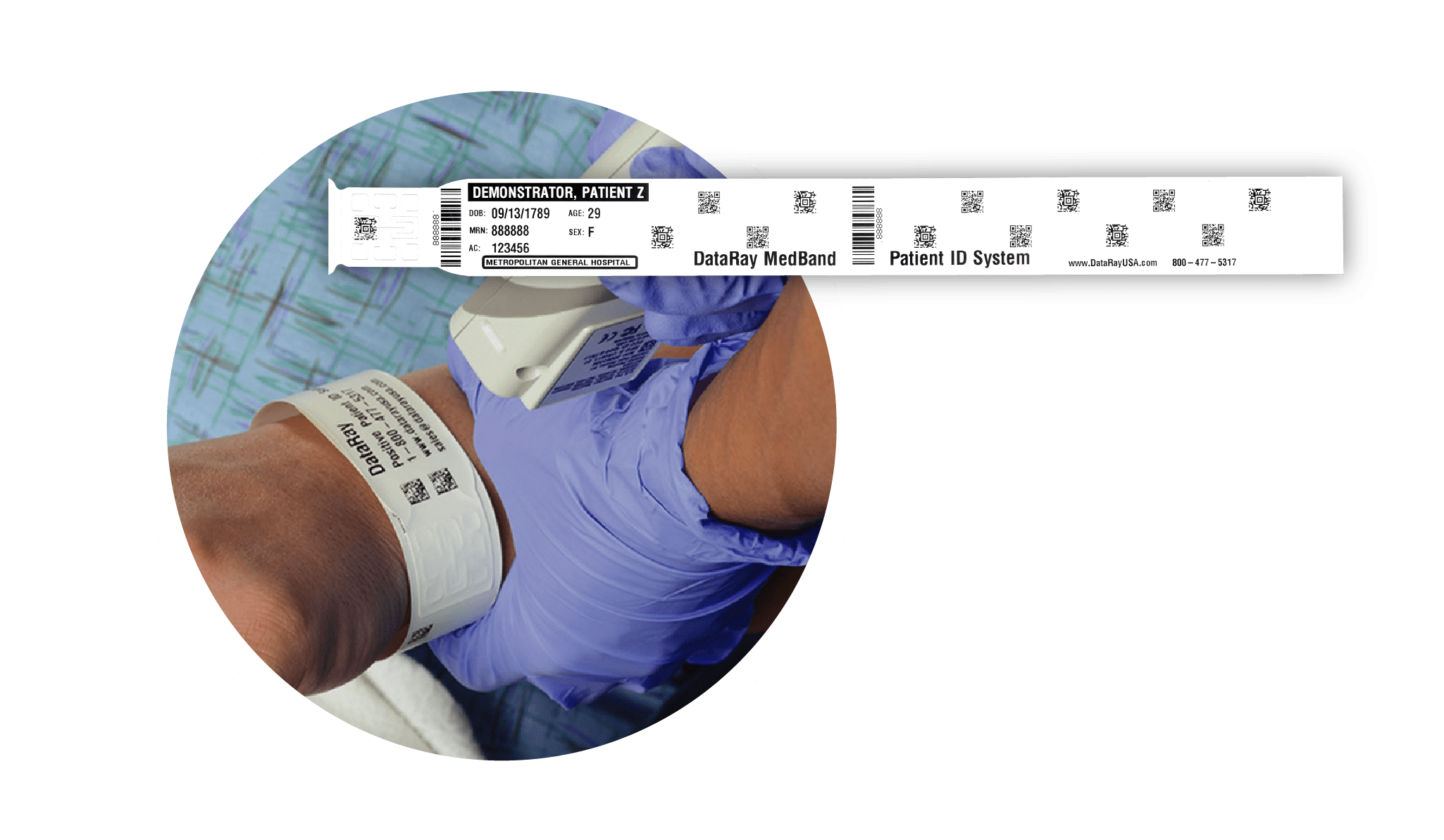 Solutions Portal DataRay USA