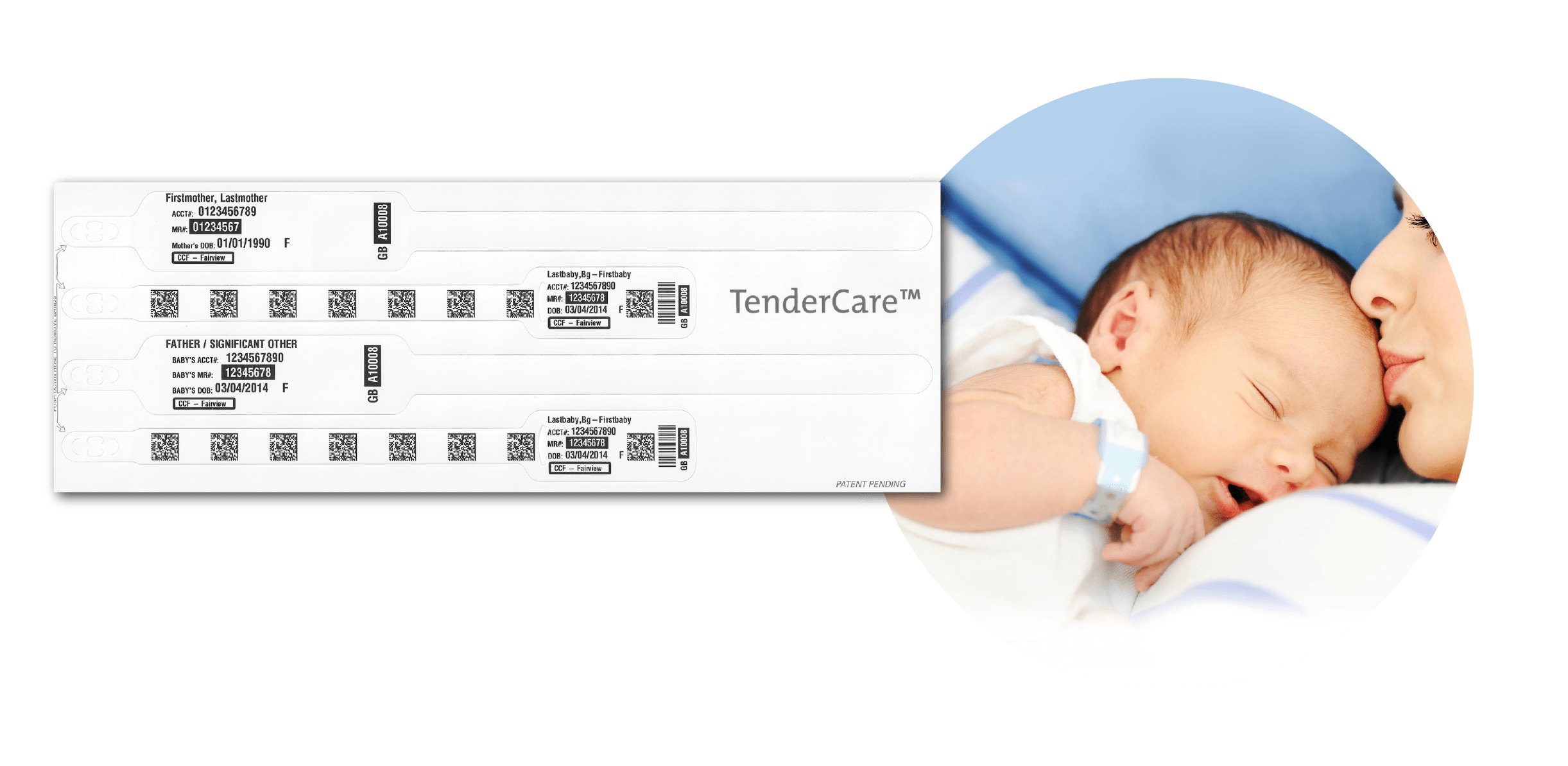 Solutions Portal DataRay USA