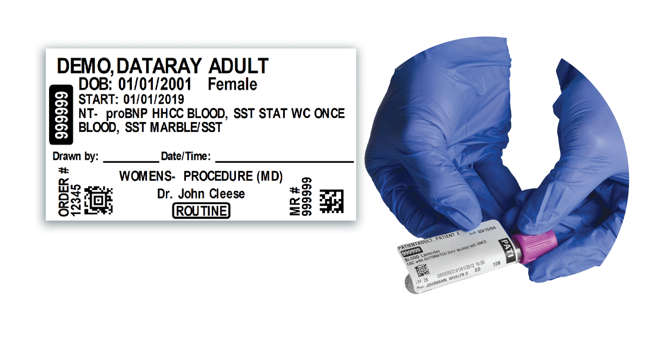 Solutions Portal DataRay USA