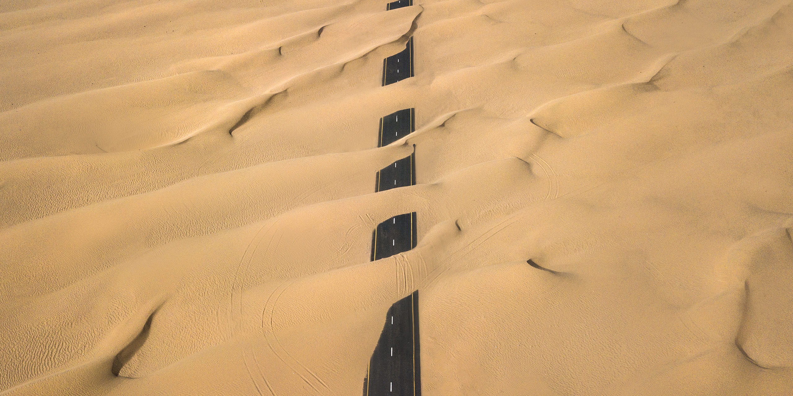 Emerging from the Loss Prevention Data Desert The Value of Data