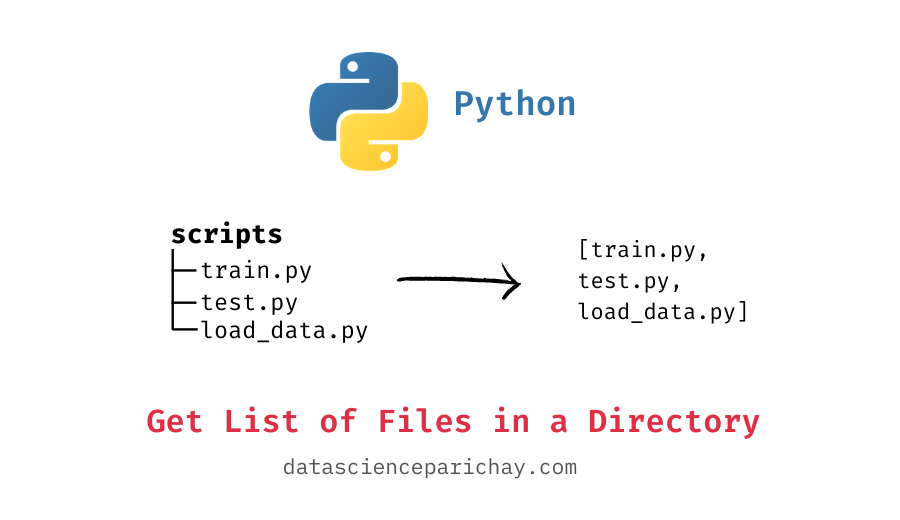 List of all files in a directory using Python Data Science Parichay