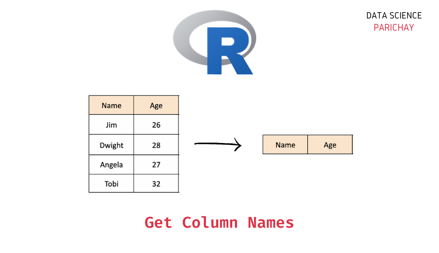 R Get Vector of Dataframe Column Names Data Science Parichay