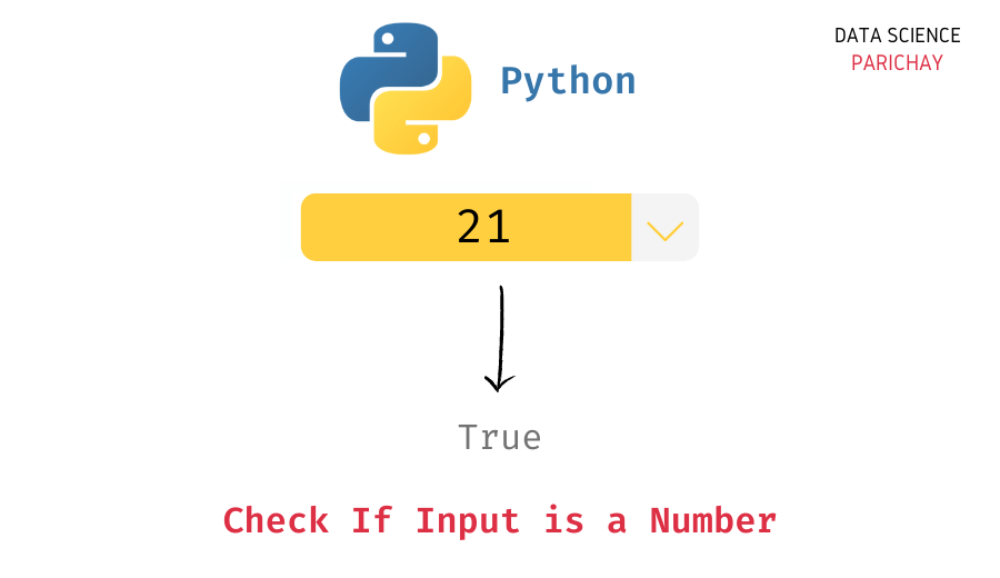 Python Check If Input Is a Number Data Science Parichay