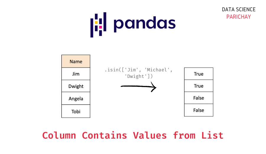 Pandas Check if Column contains String from List Data Science Parichay
