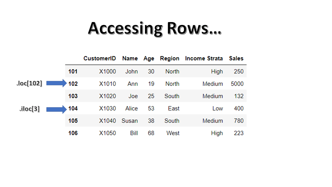 Loc and iLoc for DataFrames Data Science Review