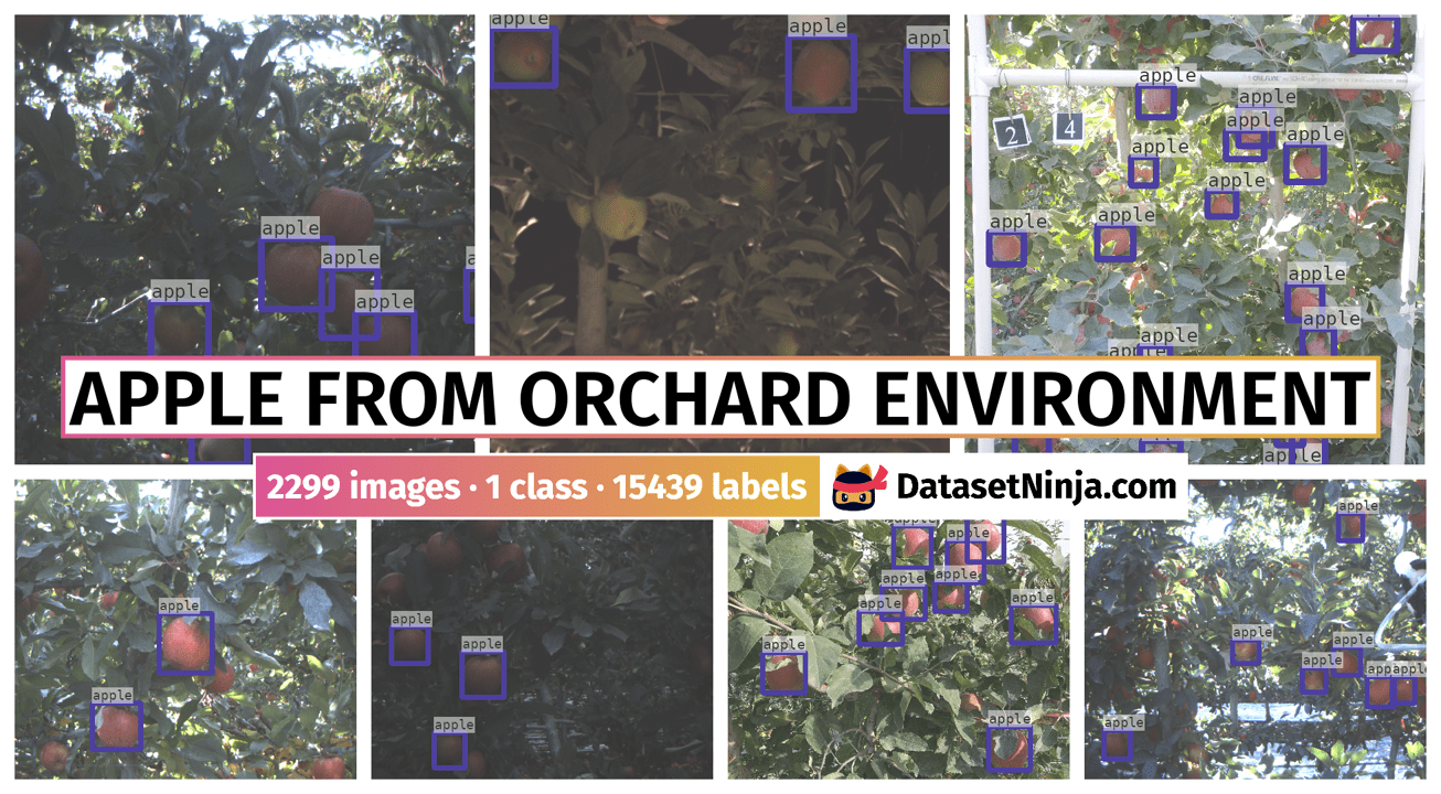 Apple from Orchard Environment Dataset Ninja