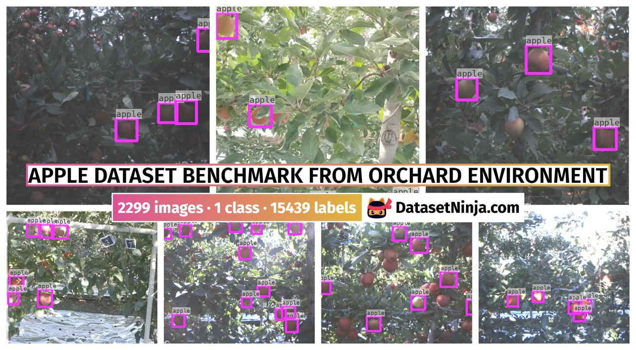 Apple Dataset Benchmark from Orchard Environment Dataset Ninja