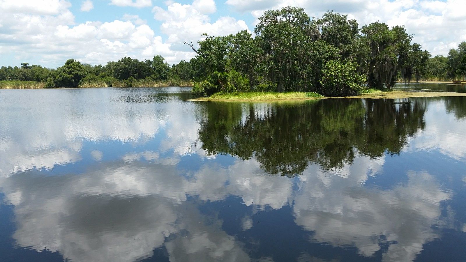 Pasco County, FL Data USA