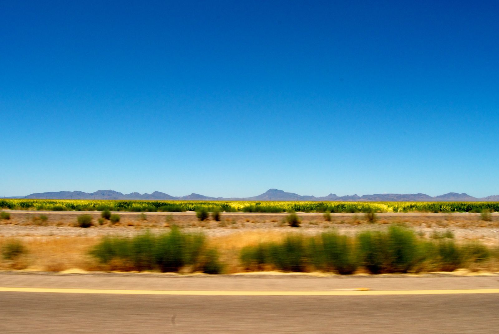 Campo Bonito, AZ Data USA